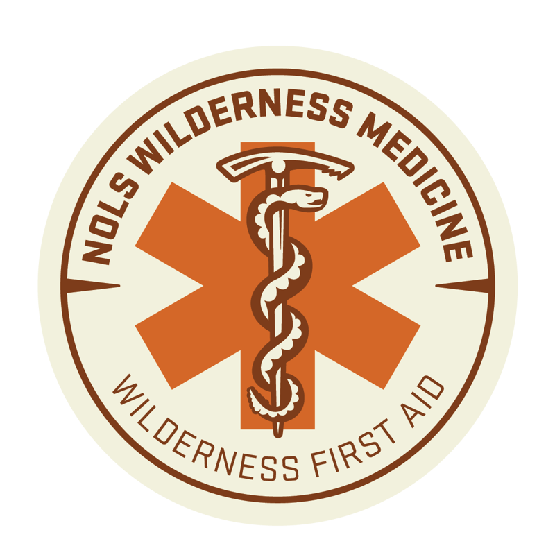Wilderness Medicine Badges